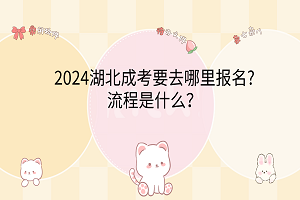 2024湖北成考要去哪里报名?流程是什么？