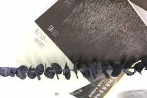 2021年湖北普通专升本考试是由谁来进行命题？