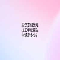 武汉东湖光电技工学校招生电话是多少？
