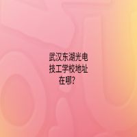 武汉东湖光电技工学校地址在哪？