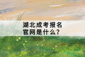 湖北成考报名官网是什么？