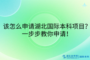 该怎么申请湖北国际本科项目？一步步教你申请！