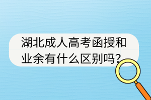 湖北成人高考函授和业余有什么区别吗？