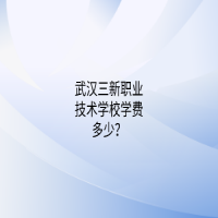 武汉三新职业技术学校学费多少？
