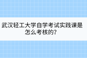 武汉轻工大学自学考试实践课是怎么考核的？