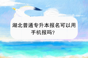 湖北普通专升本报名可以用手机报吗？