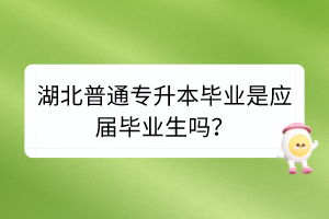 湖北普通专升本毕业是应届毕业生吗？