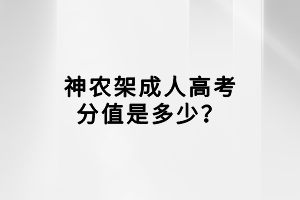 神农架成人高考分值是多少？