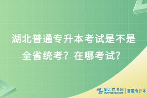 湖北普通专升本考试是不是全省统考？在哪考试？