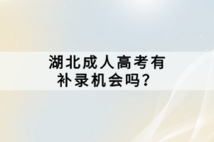 湖北成人高考有补录机会吗？