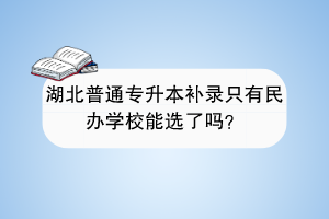 湖北普通专升本补录只有民办学校能选了吗？