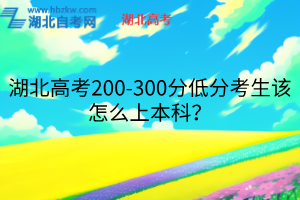 湖北高考200-300分低分考生该怎么上本科？