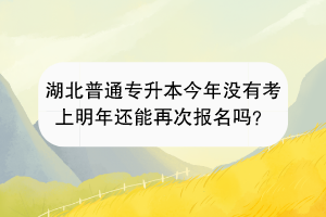 湖北普通专升本今年没有考上明年还能再次报名吗？