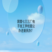 国营七三三厂电子技工学校是公办还是民办？