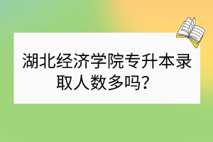 湖北经济学院专升本录取人数多吗？