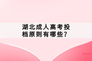 湖北成人高考投档原则有哪些？
