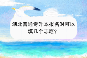 湖北普通专升本报名时可以填几个志愿？