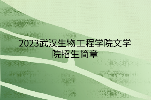 2023武汉生物工程学院文学院招生简章