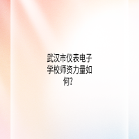 武汉市仪表电子学校师资力量如何？