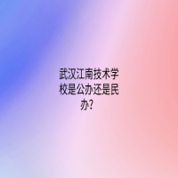 武汉江南技术学校是公办还是民办？