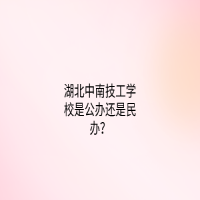 湖北中南技工学校是公办还是民办？