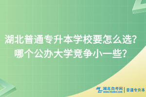 湖北普通专升本学校要怎么选？哪个公办大学竞争小一些？
