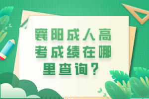 襄阳成人高考成绩在哪里查询？