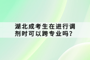 湖北成考生在进行调剂时可以跨专业吗？