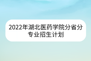 2022年湖北医药学院分省分专业招生计划