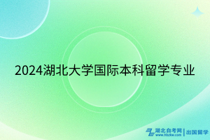 2024湖北大学国际本科留学专业