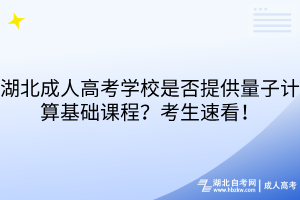 湖北成人高考学校是否提供量子计算基础课程？考生速看！