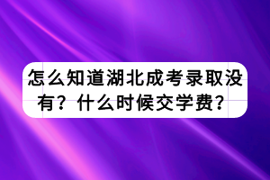 怎么知道湖北成考录取没有？什么时候交学费？