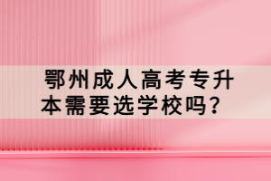  鄂州成人高考专升本需要选学校吗？