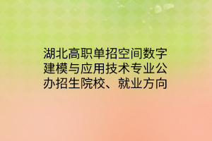 湖北高职单招空间数字建模与应用技术专业公办招生院校、就业方向