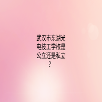 武汉市东湖光电技工学校是公立还是私立？