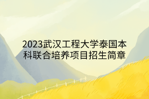 2023武汉工程大学泰国本科联合培养项目招生简章