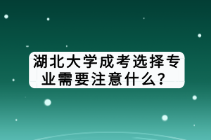 湖北大学成考选择专业需要注意什么？