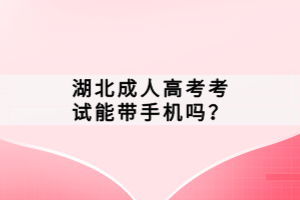 湖北成人高考考试能带手机吗？