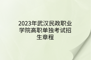 2023年武汉民政职业学院高职单独考试招生章程