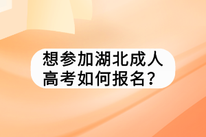 想参加湖北成人高考如何报名？