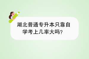 湖北普通专升本只靠自学考上几率大吗？