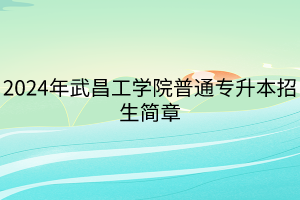 2024年武昌工学院普通专升本招生简章