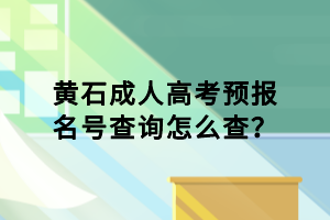 黄石成人高考预报名号查询怎么查？