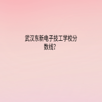 武汉东新电子技工学校分数线？