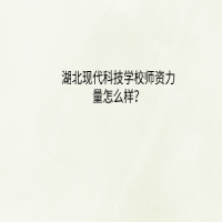 湖北现代科技学校师资力量怎么样？