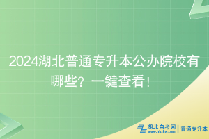 2024湖北普通专升本公办院校有哪些？一键查看！