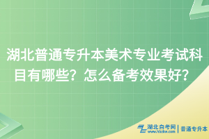 湖北普通专升本美术专业考试科目有哪些？怎么备考效果好？