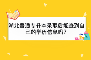 2024年湖北普通专升本录取后能查到自己的学历信息吗？查询流程有吗？