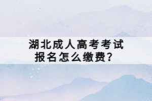 湖北成人高考考试报名怎么缴费？