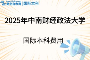 2025年中南财经政法大学国际本科需要花多少钱？